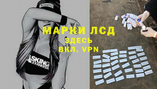 прущие грибы Алексин