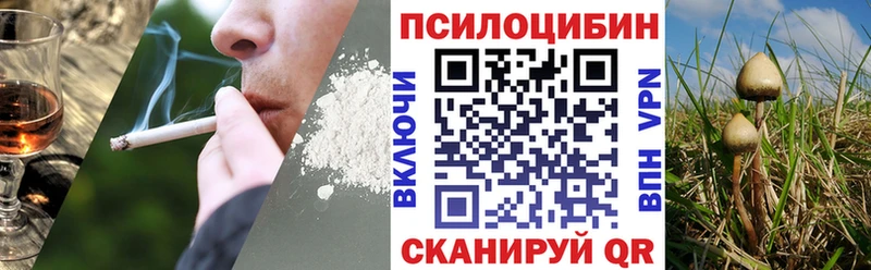 Псилоцибиновые грибы Magic Shrooms  Советская Гавань 
